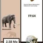 Ruta geológica | Magneto-estratigrafía 5.2