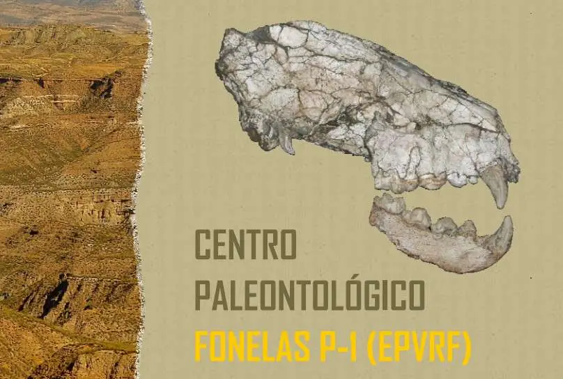 Folleto Centro Paleontológico Fonelas P-1