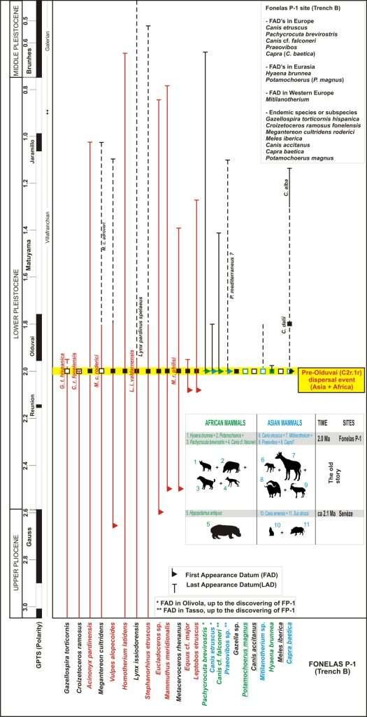 Esquema bioestratigráfico de la asociación faunística de grandes mamíferos localizada en Fonelas P-1
