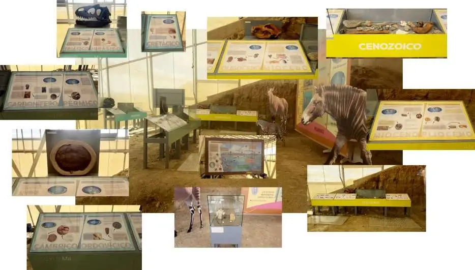 Ruta geológica | Módulo divulgativo Historia de la Tierra y la Vida