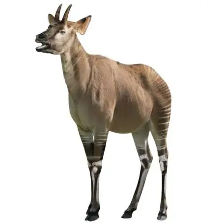 Reconstrucción de Mitilanotherium procedente de Fonelas P-1 (R. Uchytel)