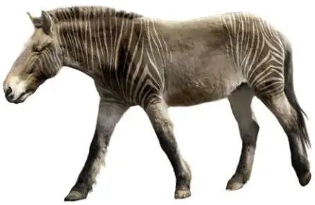 Reconstrucción Equus major (R. Uchytel)