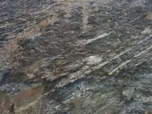 Recumbent folds Central Unit