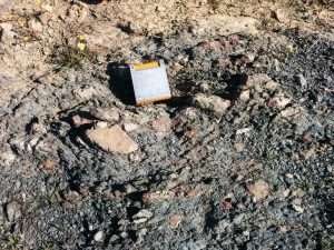 Berlanga conglomerates