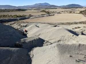 Characterizing the spatial and temporal extent of the burial remagnetization that affects the Hecho Group